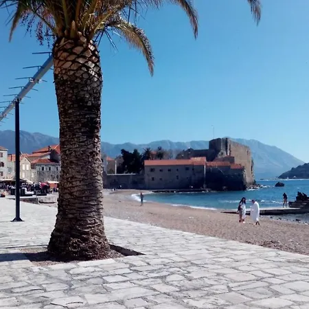 Lotus Alba Budva