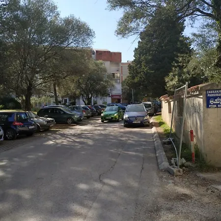 Lotus Alba Budva